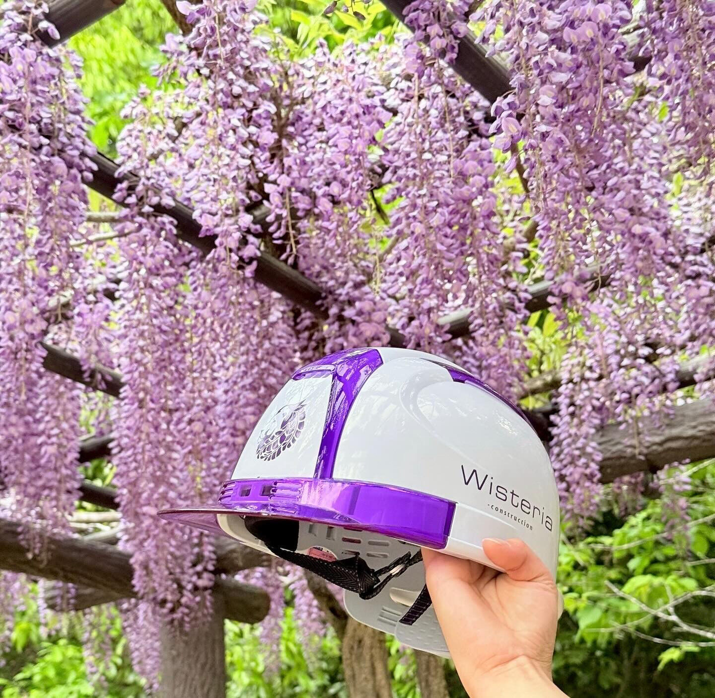 【藤の花】